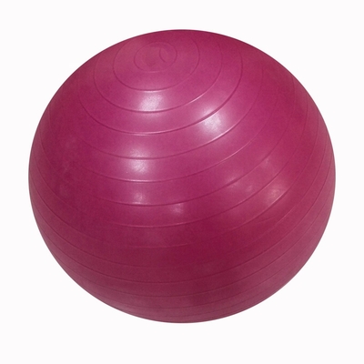 55 Cm Odorless Heavy Duty Fitness Ball Explosionproof Durable